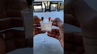 Saltwater Electricity Experiment Kit