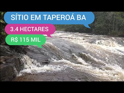 SÍTIO COM 3.4 HECTARES EM TAPEROÁ BA CÓDIGO:0249 ZAP 73 98166-3547 MARCIO 