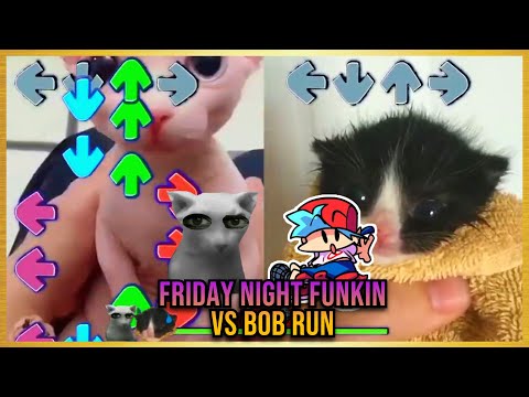 VS BOB RUN BUT BINGUS VS TOWEL KITTEN - Friday Night Funkin' Custom Animation