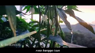 Download lagu ROMPOL | Story' WA Lagu Banyuwangi mp3