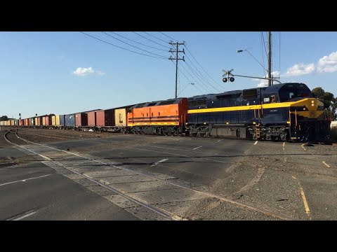 C501 & CLF2 - D283V & 7922