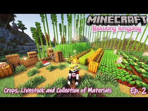 Ultimate Minecraft Relaxation: Collecting Materials with C418