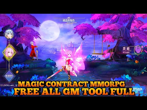 Magic Contract MMORPG Private Server GM TOOLS FULL