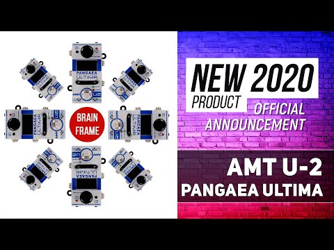 Quick Shipping! AMT Electronics Pangea U-2 IR Impulse and Multi Effect image 7