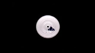 Danilo Vigorito - Untitled ( Orbeat 01 - B2 )