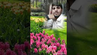 Download lagu Dil Mera aise todke na jao mp3 Download lagu Dil Mera aise todke na jao mp3