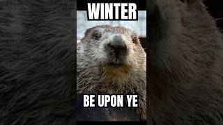 People HATE this Groundhog