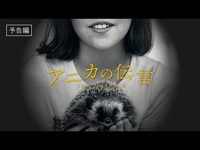 『アニカの伝言』予告