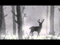Deer Snow