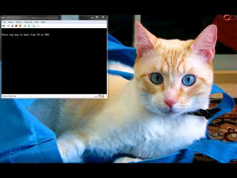 Microsoft SBS 2011 installation tutorial
