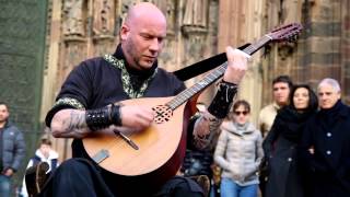 Luc Arbogast - Stella Splendens - Strasbourg mars 2014