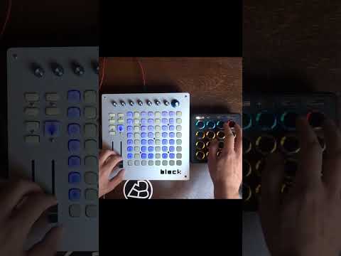 Breakbeat Torture live routine with My track Empathy Monster. #shorts #stazma #ableton #greymeta