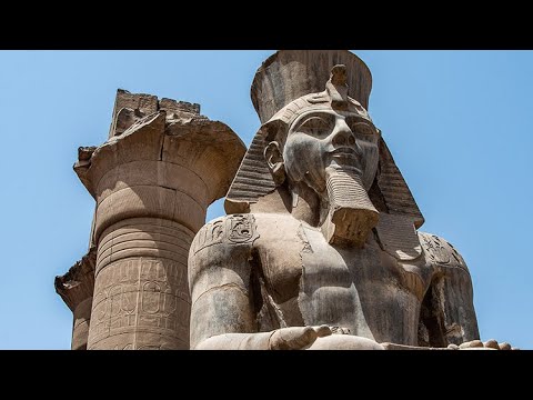 MixifyNexus and MixifyNexus_official 