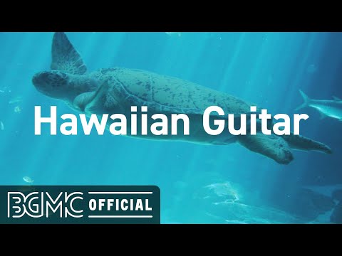Hawaiian Guitar: Hawaiian Cafe Music Aloha - Instrumental Music with Beautiful Ocean Scenery