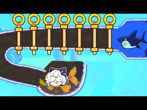 SALVA AL PEZ PARA GANAR 🐠😮