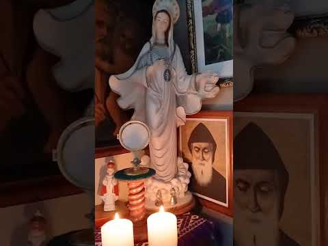 Adoración al Santísimo Sacramento del Altar con el Padre Fabian Esteban Oliva. 28/11/25