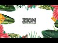 Zion Skateboards - Made for the Concrete Jungle