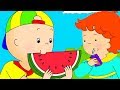 Caillou Em Português Caillou No Piquenique Episódios Completos Desenho Animado NOVO