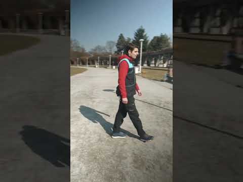 What to do when a dog jumps❓️ #behaviorist #dogtrainer #dogtraining #dog #guide #training #tartar