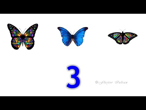 Aflarea numărului necunoscut