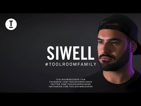 Toolroom Family - Siwell (DJ Mix)