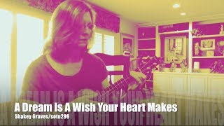 A Dream Is A Wish Your Heart Makes - Shakey Graves (Nobody's Fool)  Cover