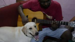 Rock On 2 - You know what I mean cover