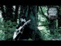 Scott Wright - Come on Down
