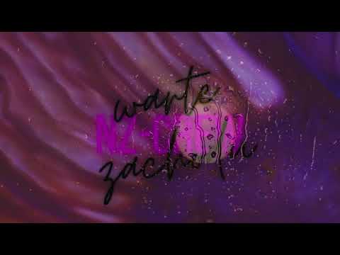 NZ-Crew -  Warte zachodu (Mrozik x Bilson)