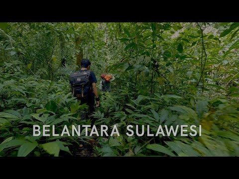 Awal Perjalanan Menuju Belantara Sulawesi (Berburu Babi #1)
