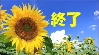 「没僕らのスカイウォーズpart12」　HIVEスカイウォーズで夏休みの終了と共に崩壊する動画。