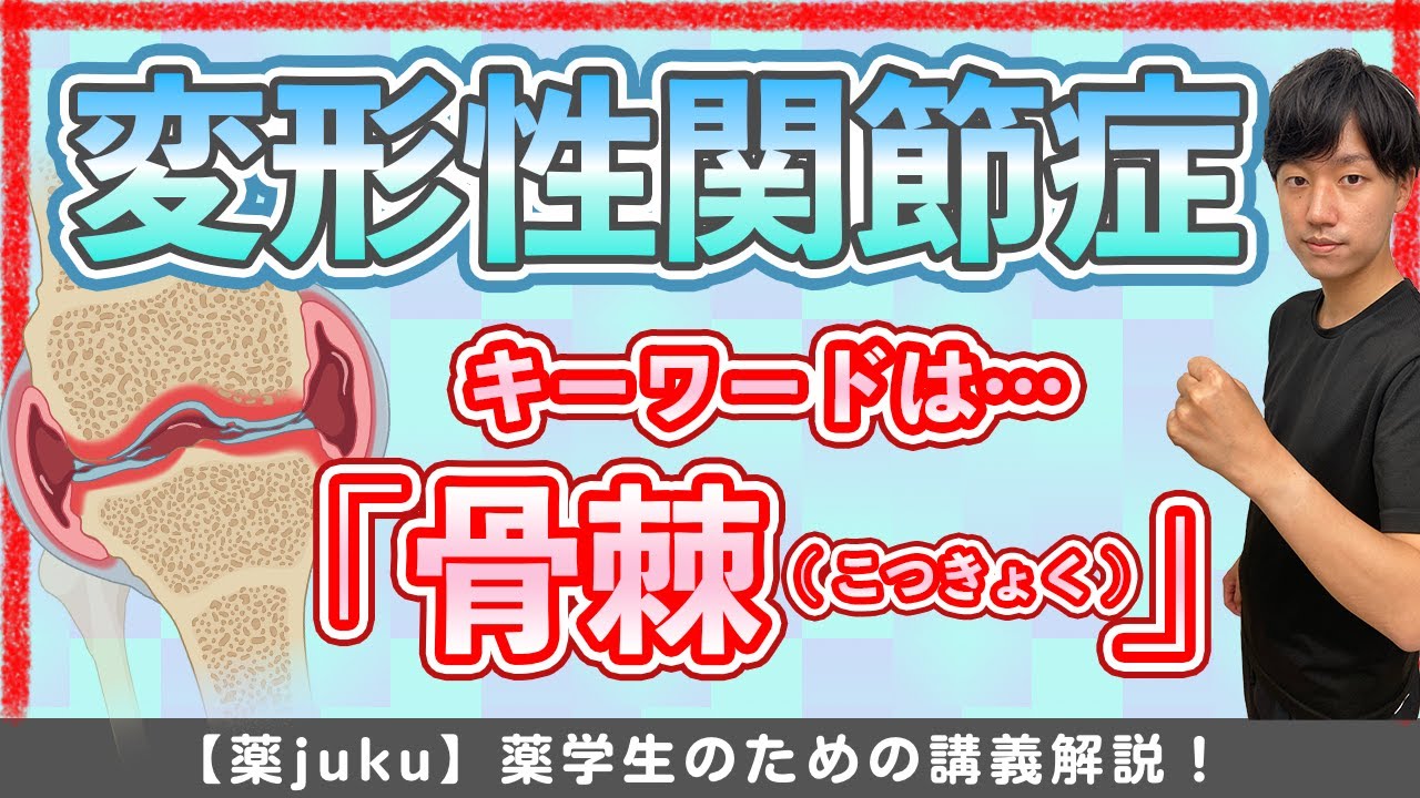 【知っていれば解ける！】変形性関節症の病態生理学