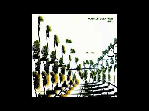 Markus Guentner - 1981 ( full album )
