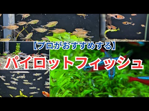 リダイレクトアイコン