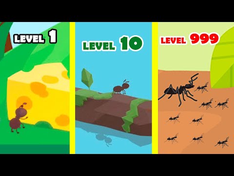 Sand Ant Farm! This Is The Biggest Digging Of The Kingdom Of The Ant