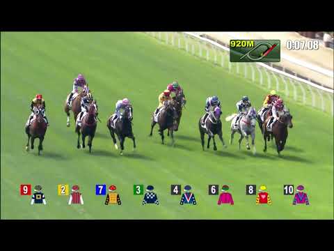 9/1/2022 (319) Metro Warrior - Vincent Ho