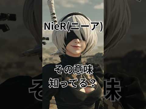 The secret behind the title of the \NieR\ series! What thoughts did Yoko Taro put into it?