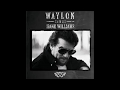 Half As Much by Waylon Jennings from his album Waylon Sings Hank Williams