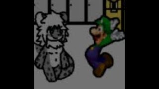 Cover art for Snep Chase