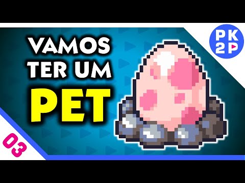 FORAGER ► What will our pet be like? #03