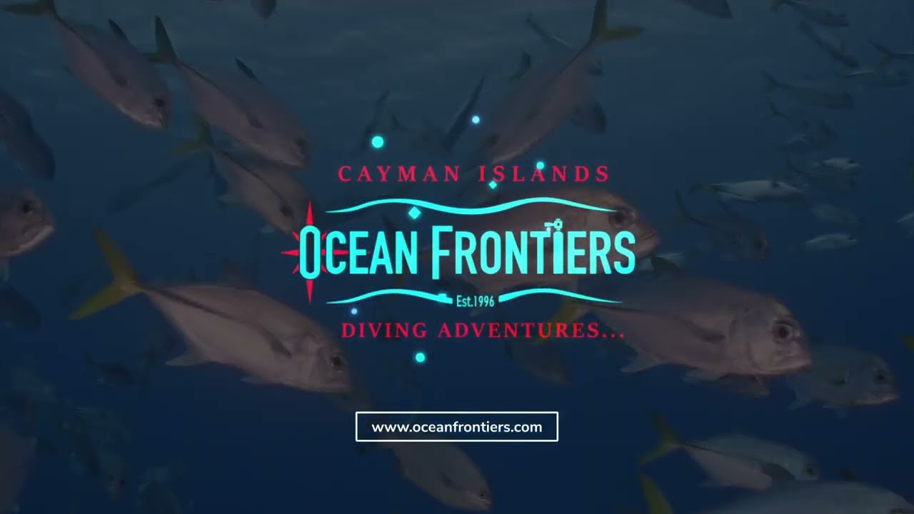 Reef Roamer 1-Tank Boat Dive Cayman Islands