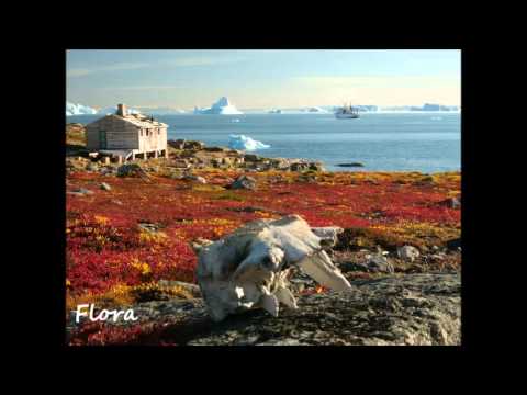 Arctic and Alpine Tundra