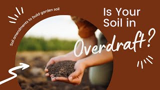 Is Your Soil in Overdraft? Find Out How to Amend Soil