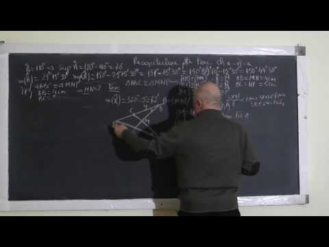 1/2 1245 Multimi Fractii Criterii divizibilitate Teorema impartirii rest Triunghiuri congruente CL 6