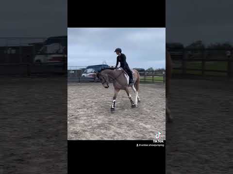 Flatwork is key 🔑