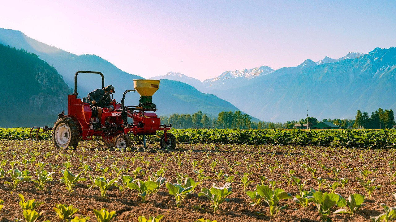 Grow Food You Can Trust | 520 Cultivation Tractor For Market Growers