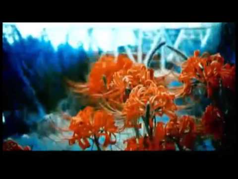 Tranzident & Suta feat. Jewls - Day By Day