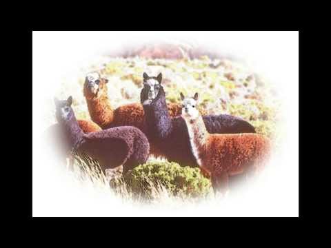 Music From The Andes Vol.3( Instrumental INKARI) Música Andina