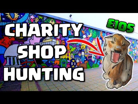 Insane Mural And £105 Tiger ~ Charity Shop Hunting ~ Buy And Sell For A living 2021