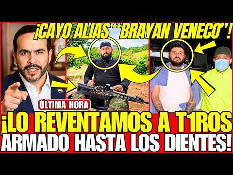 ¡EL TIGRE CAZÓ a "BRAYAN VENECO"; CABECILLA de las FARC; CAE HER1DO con ARSENAL MILITAR en BOLIVAR!